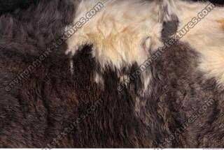 fur 0016